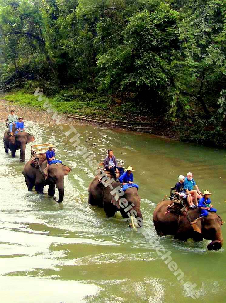 Foto: Rundreise Nordthailand (Elefantenreiten in Chiang-Mai)