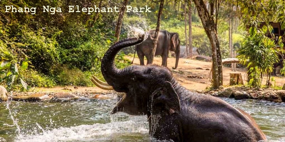 Foto: Urlaub in Thailand - Badeurlaub Phang_Nga Elefant-Camp