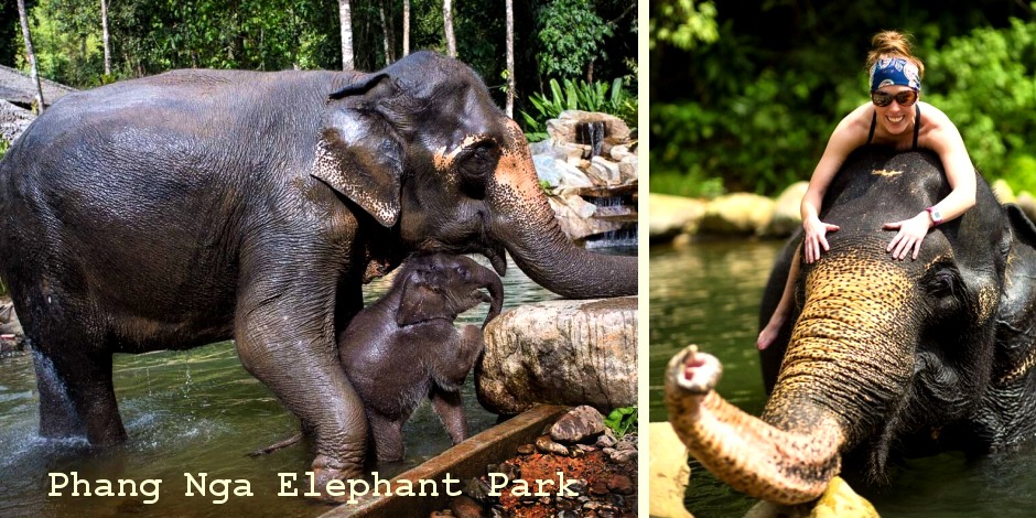 Elefant Park Phang Nga