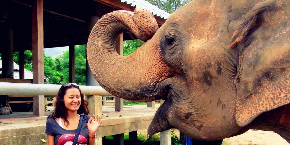 Foto: Urlaub in Thailand - Elefant-Dschungeltrekking Khao Sok Nationalpark