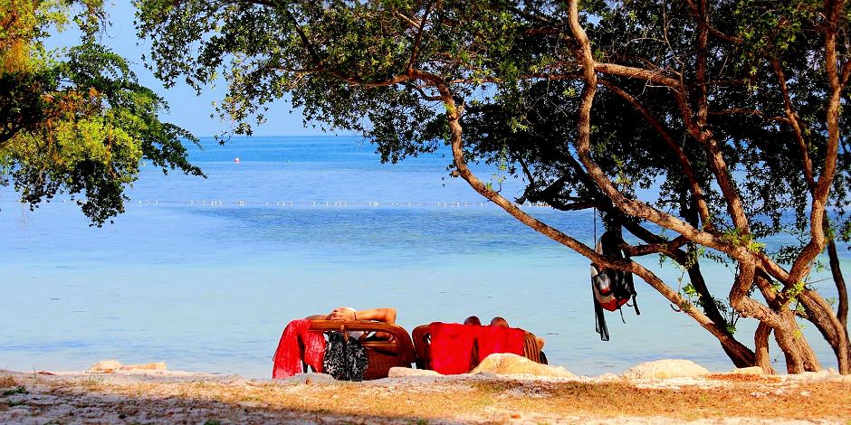 Foto: Urlaub in Thailand - Koh-Tao Mango-Bay