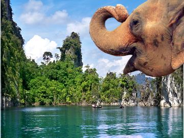 Foto: Sdthailand Reisen im Khao Sok Nationalpark